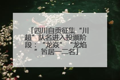 四川自贡征集“川超”队名进入投票阶段：“龙焱”“龙焰”暂居一二名