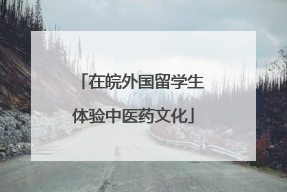 在皖外国留学生体验中医药文化