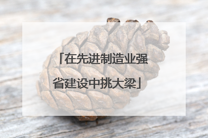 在先进制造业强省建设中挑大梁