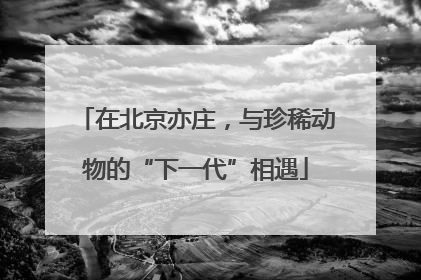 在北京亦庄，与珍稀动物的“下一代”相遇