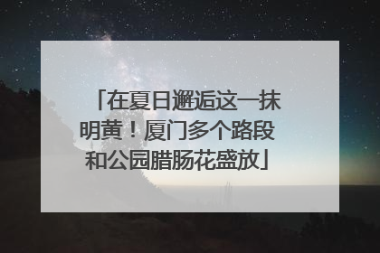 在夏日邂逅这一抹明黄！厦门多个路段和公园腊肠花盛放