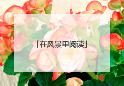 在风景里阅读