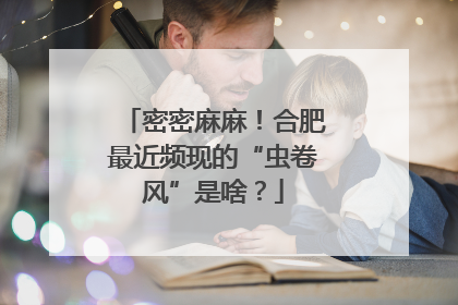 密密麻麻！合肥最近频现的“虫卷风”是啥？