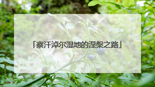 察汗淖尔湿地的涅槃之路