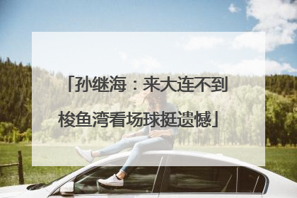 孙继海：来大连不到梭鱼湾看场球挺遗憾