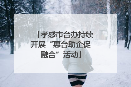孝感市台办持续开展“惠台助企促融合”活动