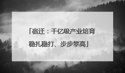 宿迁：千亿级产业培育稳扎稳打、步步攀高