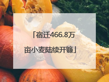 宿迁466.8万亩小麦陆续开镰