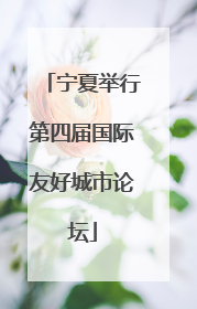 宁夏举行第四届国际友好城市论坛