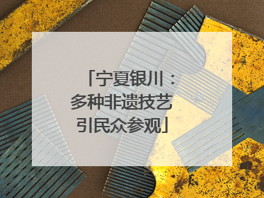 宁夏银川：多种非遗技艺引民众参观