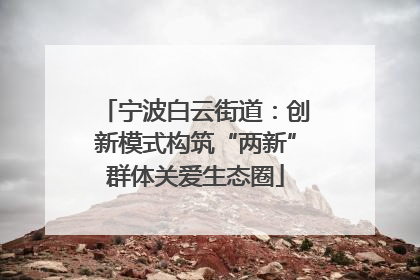 宁波白云街道：创新模式构筑“两新”群体关爱生态圈