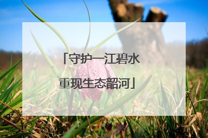 守护一江碧水 重现生态韶河
