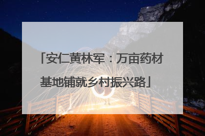 安仁黄林军：万亩药材基地铺就乡村振兴路