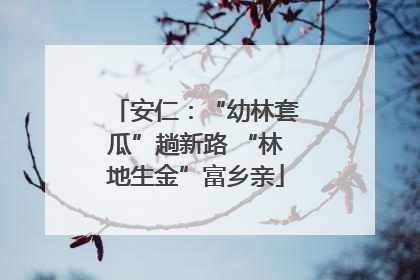 安仁：“幼林套瓜”趟新路 “林地生金”富乡亲