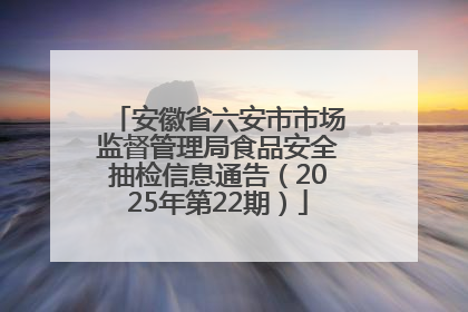 安徽省六安市市场监督管理局食品安全抽检信息通告（2025年第22期）