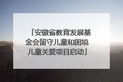 安徽省教育发展基金会留守儿童和困境儿童关爱项目启动