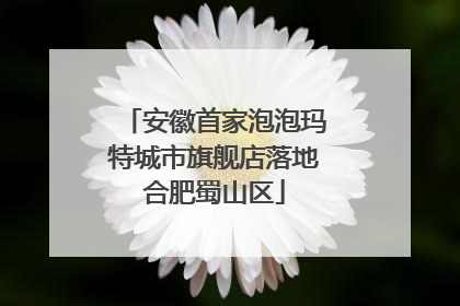 安徽首家泡泡玛特城市旗舰店落地合肥蜀山区