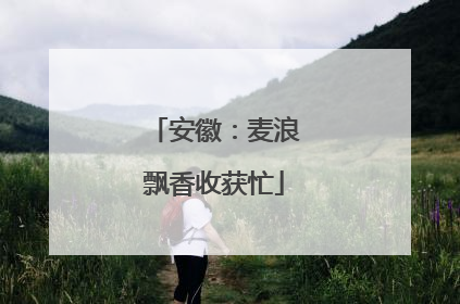 安徽：麦浪飘香收获忙