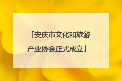 安庆市文化和旅游产业协会正式成立