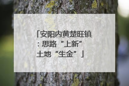 安阳内黄楚旺镇：思路“上新” 土地“生金”