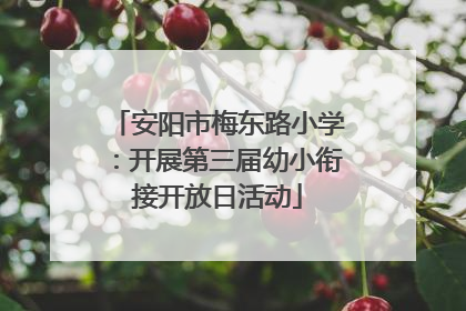 安阳市梅东路小学：开展第三届幼小衔接开放日活动