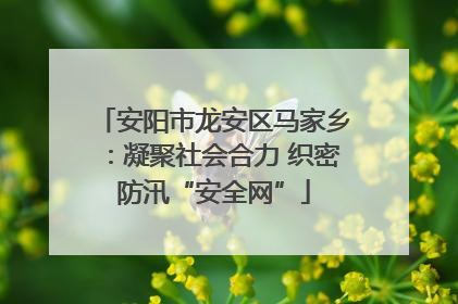 安阳市龙安区马家乡：凝聚社会合力 织密防汛“安全网”
