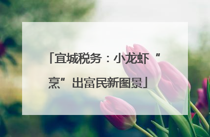 宜城税务：小龙虾“烹”出富民新图景