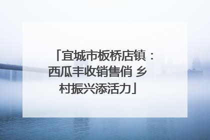 宜城市板桥店镇：西瓜丰收销售俏 乡村振兴添活力
