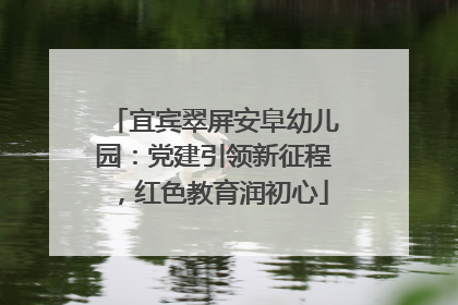 宜宾翠屏安阜幼儿园：党建引领新征程，红色教育润初心
