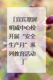 宜宾翠屏明威中心校开展“安全生产月”系列教育活动