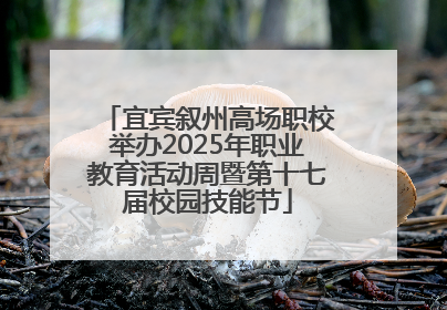宜宾叙州高场职校举办2025年职业教育活动周暨第十七届校园技能节