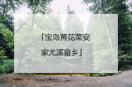 宝岛黄花菜安家尤溪畲乡