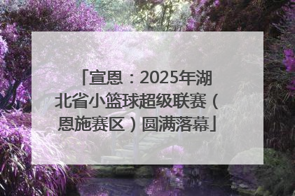 宣恩：2025年湖北省小篮球超级联赛（恩施赛区）圆满落幕