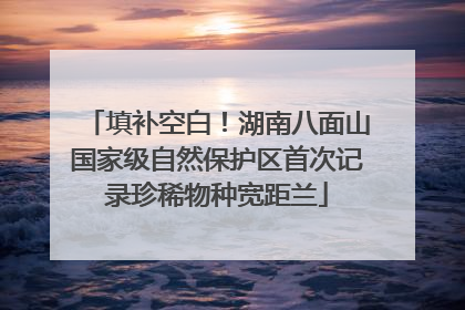 填补空白！湖南八面山国家级自然保护区首次记录珍稀物种宽距兰