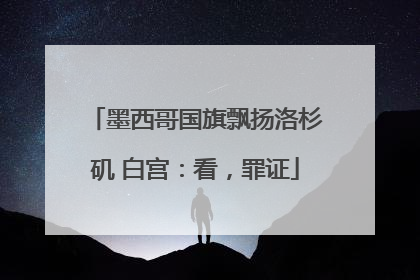 墨西哥国旗飘扬洛杉矶 白宫：看，罪证
