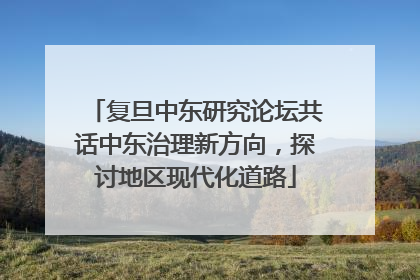 复旦中东研究论坛共话中东治理新方向，探讨地区现代化道路