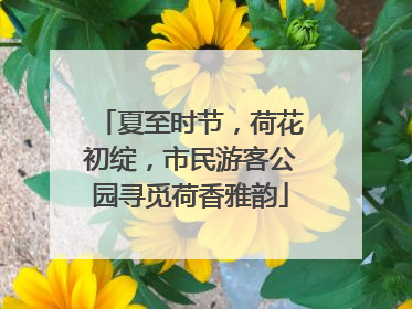 夏至时节，荷花初绽，市民游客公园寻觅荷香雅韵