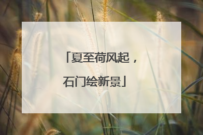 夏至荷风起，石门绘新景