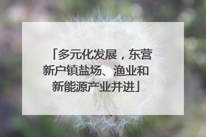 多元化发展，东营新户镇盐场、渔业和新能源产业并进