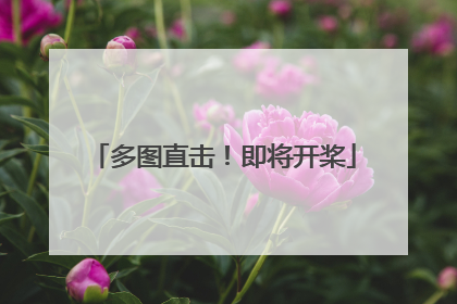 多图直击！即将开桨