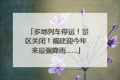 多地列车停运！景区关闭！福建迎今年来最强降雨……
