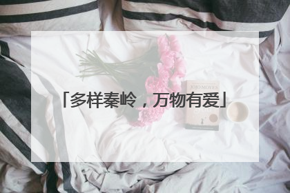 多样秦岭，万物有爱