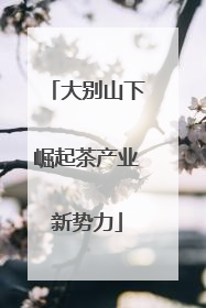 大别山下崛起茶产业新势力
