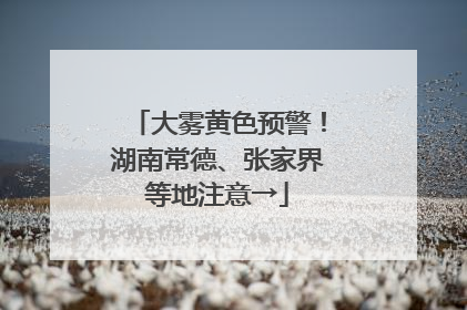 大雾黄色预警！湖南常德、张家界等地注意→