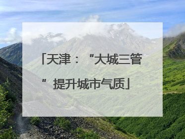 天津：“大城三管”提升城市气质