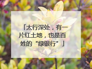太行深处，有一片红土地，也是百姓的“绿银行”