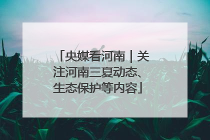央媒看河南｜关注河南三夏动态、生态保护等内容