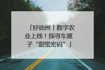 好德州丨数字农业上线！探寻车厘子“甜蜜密码”