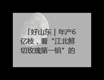 好山东｜年产6亿枝，看“江北鲜切玫瑰第一镇”的“美丽经济”