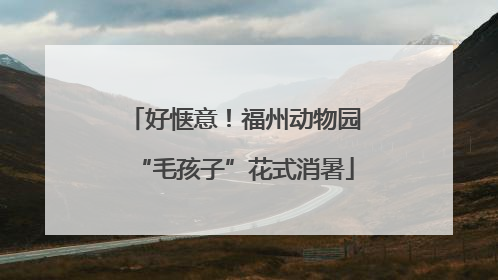 好惬意！福州动物园“毛孩子”花式消暑